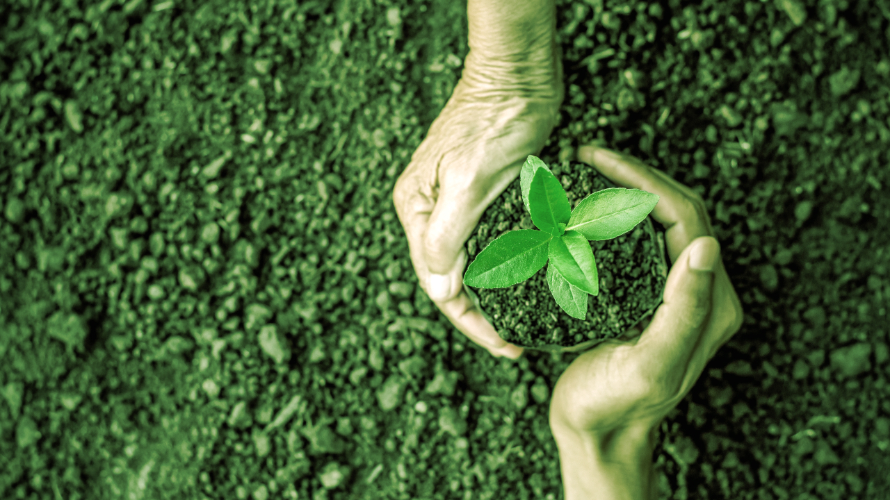 WeWork Founder Raises $70M for Carbon Credit Crypto Project, a16z Leads Round
