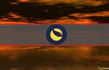 Risk-Aversive Bets Reigned Amid Terra’s Notorious Plunge (Report)